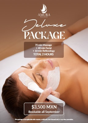 Deluxe Package